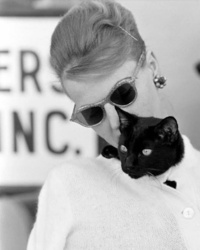 31335ce5-d2ca-4599-b724-94cadc608a24