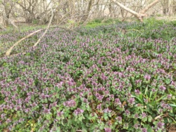 f17b99a0-f90d-4c30-87f8-2a1f02cb42c2