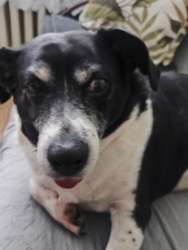 552e4a98-dacf-43eb-a846-86f29d7acdc8