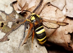 f59eadcc-eb5f-45f7-b489-01276bfe1d35