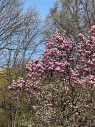 fe52f2bb-064e-4760-9e2d-2364ec51d214