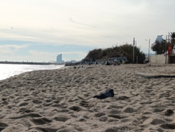 932ebc47-377b-472c-a866-7e99eef66d1f