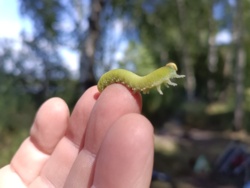 9792f4ff-752c-4df8-b40c-a29a60e90500