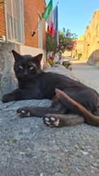 adb68e69-bf45-4823-930f-68c2db2db38c