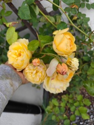 0713d575-d4ab-4cac-b948-86403222ea14