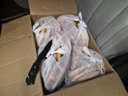 dbf0c55e-124a-43cf-9620-3d21399e71be