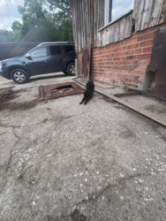 58a76b79-fc0e-40e9-9872-ec85168d38f7