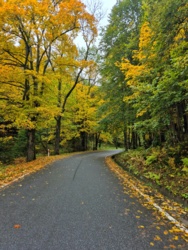 a03ab914-f12e-4365-860d-453c0fdc6de5