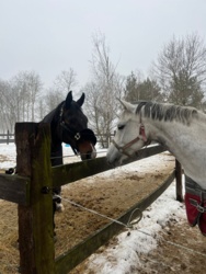 1acf3ed8-0549-43ed-9647-b50e42f866a7