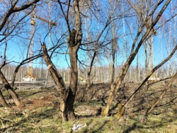 fcf26f05-4392-437d-b5f2-81be68fe52c0