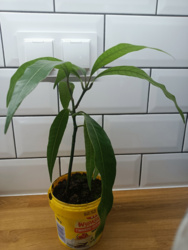 612d25ab-0850-42db-ab90-3ca39d5f9354