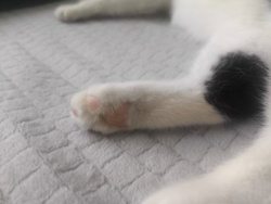 be42267c-f7b5-4edd-b165-5e4972dbc0ba