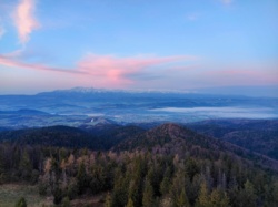 66595bf8-c69e-49b0-a785-59910c95df21