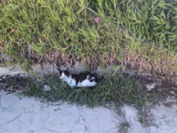 9575be63-8aef-492a-b3ac-c25b9f4807e3