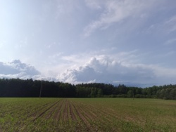 e5619be2-080d-45bc-a535-84c9ff5ece45