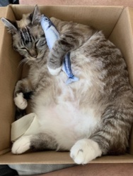 9c9dc6dd-f258-4c3b-bd02-f98d6c03353b