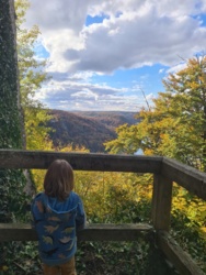 071386bc-cf92-489d-a342-ff6437a8b71e