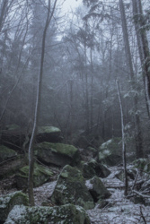 a5091932-61d9-425d-bf2d-a0704bcda094