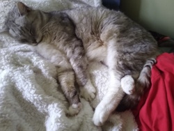 0321e6c7-9f41-4065-8ef0-50518e3b611d