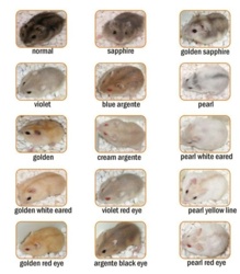 ee3ead88-ae87-4710-9701-dd613a6a1e12