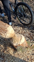 72eb1a63-3cab-48e5-ad7d-6b8558c39a53