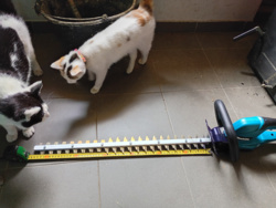 19db41a7-c948-4abe-a9cd-bb1c8a2ec8b2