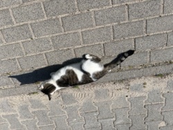 4d73704f-9379-4cb1-a8bf-496c4214333a