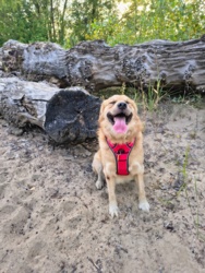 5d5f1c29-ff92-4edf-80a4-cfc66fc3de5a