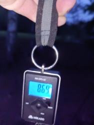 f0114e2a-f238-45fb-b841-72471391790b