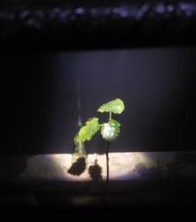 eaab1653-1b2c-4d16-852a-a315af602ed4