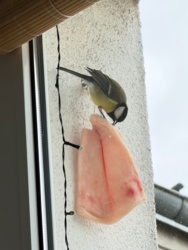 a59ef669-bbe5-43c2-8376-28d7143b0721