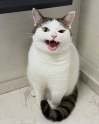 585feaa4-60be-493b-b0ad-335c0f35b3fa