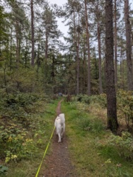 b878ac35-7ead-4554-b529-7d9f1a0d44bb