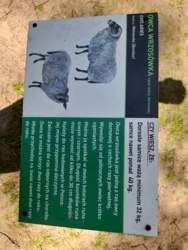 f5e97eb1-f806-4c1b-917a-64b3587e8280