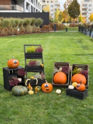 b9818fa9-d2f0-4c7e-a7b5-ef4a4b94977b