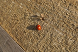 885b90c5-4f10-45c5-877e-65fbaf45fd3e