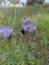 23cfd2af-2454-436d-80ee-eb5fa0cdca16