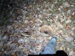 444f0ae6-026e-4c86-b726-6823ea8f2363