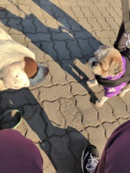 668c8985-8e3e-46a4-a4dd-d694b08be3cf