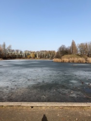 18ae09f9-26a5-4fa5-a245-59da75d23e9c