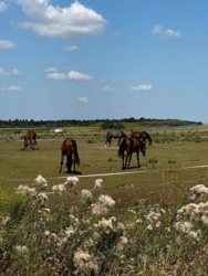 b8f26d6e-7b09-4c2e-b6a4-e3b33f2a1b42