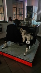 31af041b-a736-4511-ae61-6cb7018a0ef7