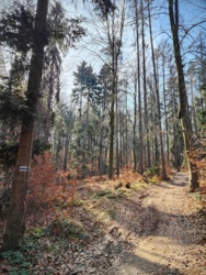 82cdbe69-7ba6-4f3d-804b-9f974299e023