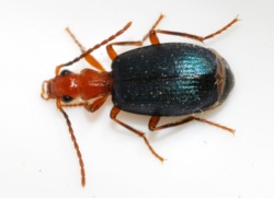 132594f7-1718-48fc-862f-37dc8908ac55