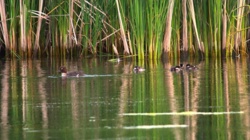 765f61c8-e105-486a-ab60-8d5ce6bf0d0e