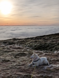 7881cffa-b853-4128-a878-fd382f1d2699