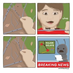 c1455216-be6c-499a-b3f9-9a32c875e2ea