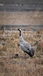 994a35da-6e1a-408c-9096-364001a881ca