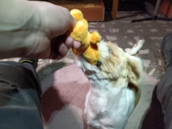 7a74b924-f7a8-4c19-8cf6-905e6747c4d8