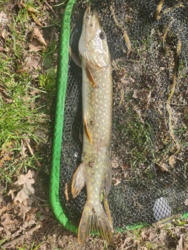 20d5c305-ec7c-4a35-8b08-57a546dfe1f2